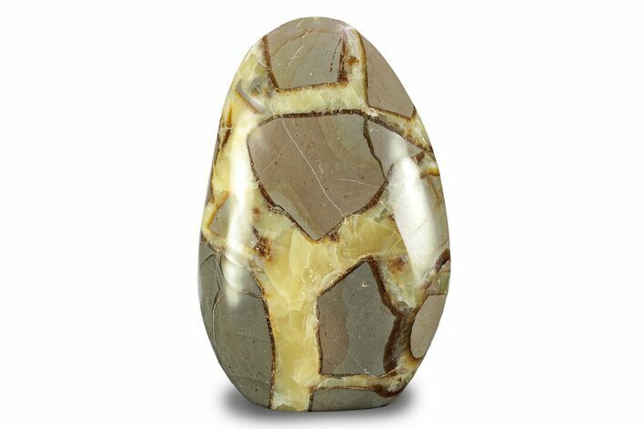 Free-Standing Polished Septarian - Madagascar #247549